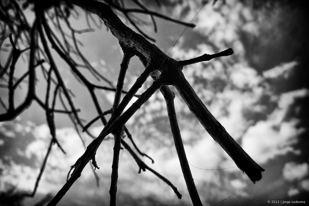 lumix review, lumix , photos, images, documentary, street, candid, portrait, snap, photoLX3aphy, lumix , lumix, color, black and white, pentax,  images, pictures, daido, moriyama, jorge, ledesma, LX3, review,lumix LX3 revisão, lumix LX3, imagens, documentários, rua, revisão,lumix LX3 recenze, lumix LX3, obrázky, dokumentární, ulice, upřímný, portrét, fotoLX3afie,lumix LX3 revisione, lumix LX3, immagini, documentari, via, schietto, ritratto, fotoLX3afia,lumix LX3 recension, lumix LX3, bilder, dokumentär, gata, uppriktig, porträtt, fotoLX3afi,lumix LX3 examen, lumix LX3, images, documentaire, rue, candide, portrait, photoLX3aphie,lumix LX3 gennemgang, lumix , billeder, dokumentar, gade, åbenhjertig, portræt, fotoLX3afering,lumix LX3 recenzja, lumix LX3, zdjęć, filmów dokumentalnych, ulica, szczery, portret, fotoLX3afia,lumix LX3 Bewertung lumix , Bilder, Dokumentarfilm, Straße, offen, Porträt, FotoLX3afie,理光LX3審查，理光LX3，圖片，紀錄片，街道，坦誠，肖像，攝影，リコーLX3見直し、リコーLX3、画像、ドキュメンタリー、ストリート、スナップ写真、ポートレート、写真、lumix LX3 revisão, lumix LX3, imagens, documentários, rua, cândido, retrato, fotoLX3afia,icoh LX3 pagsusuri, lumix LX3, mga larawan, dokumentaryo, kalye, tapat, portrait, photoLX3aphy,