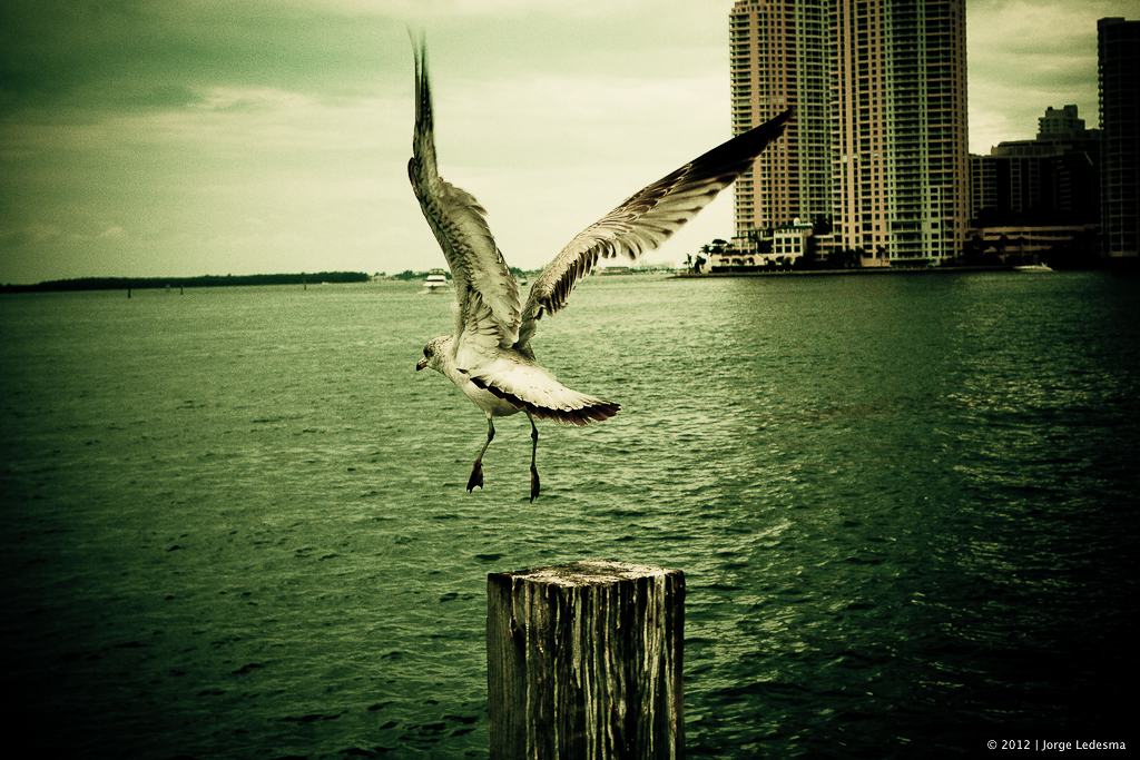 lumix review, lumix , photos, images, documentary, street, candid, portrait, snap, photoLX3aphy, lumix , lumix, color, black and white, pentax,  images, pictures, daido, moriyama, jorge, ledesma, LX3, review,lumix LX3 revisão, lumix LX3, imagens, documentários, rua, revisão,lumix LX3 recenze, lumix LX3, obrázky, dokumentární, ulice, upřímný, portrét, fotoLX3afie,lumix LX3 revisione, lumix LX3, immagini, documentari, via, schietto, ritratto, fotoLX3afia,lumix LX3 recension, lumix LX3, bilder, dokumentär, gata, uppriktig, porträtt, fotoLX3afi,lumix LX3 examen, lumix LX3, images, documentaire, rue, candide, portrait, photoLX3aphie,lumix LX3 gennemgang, lumix , billeder, dokumentar, gade, åbenhjertig, portræt, fotoLX3afering,lumix LX3 recenzja, lumix LX3, zdjęć, filmów dokumentalnych, ulica, szczery, portret, fotoLX3afia,lumix LX3 Bewertung lumix , Bilder, Dokumentarfilm, Straße, offen, Porträt, FotoLX3afie,理光LX3審查，理光LX3，圖片，紀錄片，街道，坦誠，肖像，攝影，リコーLX3見直し、リコーLX3、画像、ドキュメンタリー、ストリート、スナップ写真、ポートレート、写真、lumix LX3 revisão, lumix LX3, imagens, documentários, rua, cândido, retrato, fotoLX3afia,icoh LX3 pagsusuri, lumix LX3, mga larawan, dokumentaryo, kalye, tapat, portrait, photoLX3aphy,