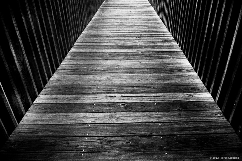 Panasonic LX3, Lumix, Coconut Grove, Leica D-Lux 4, lumix LX3 review, lumix , photos, images, documentary, street, candid, portrait, snap, photoLX3aphy, lumix , lumix, color, black and white, pentax,  images, pictures, daido, moriyama, jorge, ledesma, LX3, review,lumix LX3 revisão, lumix LX3, imagens, documentários, rua, revisão,lumix LX3 recenze, lumix LX3, obrázky, dokumentární, ulice, upřímný, portrét, fotoLX3afie,lumix LX3 revisione, lumix LX3, immagini, documentari, via, schietto, ritratto, fotoLX3afia,lumix LX3 recension, lumix LX3, bilder, dokumentär, gata, uppriktig, porträtt, fotoLX3afi,lumix LX3 examen, lumix LX3, images, documentaire, rue, candide, portrait, photoLX3aphie,lumix LX3 gennemgang, lumix , billeder, dokumentar, gade, åbenhjertig, portræt, fotoLX3afering,lumix LX3 recenzja, lumix LX3, zdjęć, filmów dokumentalnych, ulica, szczery, portret, fotoLX3afia,lumix LX3 Bewertung lumix , Bilder, Dokumentarfilm, Straße, offen, Porträt, FotoLX3afie,理光LX3審查，理光LX3，圖片，紀錄片，街道，坦誠，肖像，攝影，リコーLX3見直し、リコーLX3、画像、ドキュメンタリー、ストリート、スナップ写真、ポートレート、写真、lumix LX3 revisão, lumix LX3, imagens, documentários, rua, cândido, retrato, fotoLX3afia,icoh LX3 pagsusuri, lumix LX3, mga larawan, dokumentaryo, kalye, tapat, portrait, photoLX3aphy,