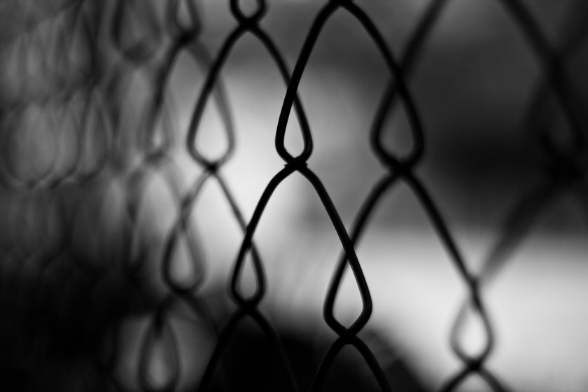 Canon 450D, XSi, Canon 40mm 2.8 pancake