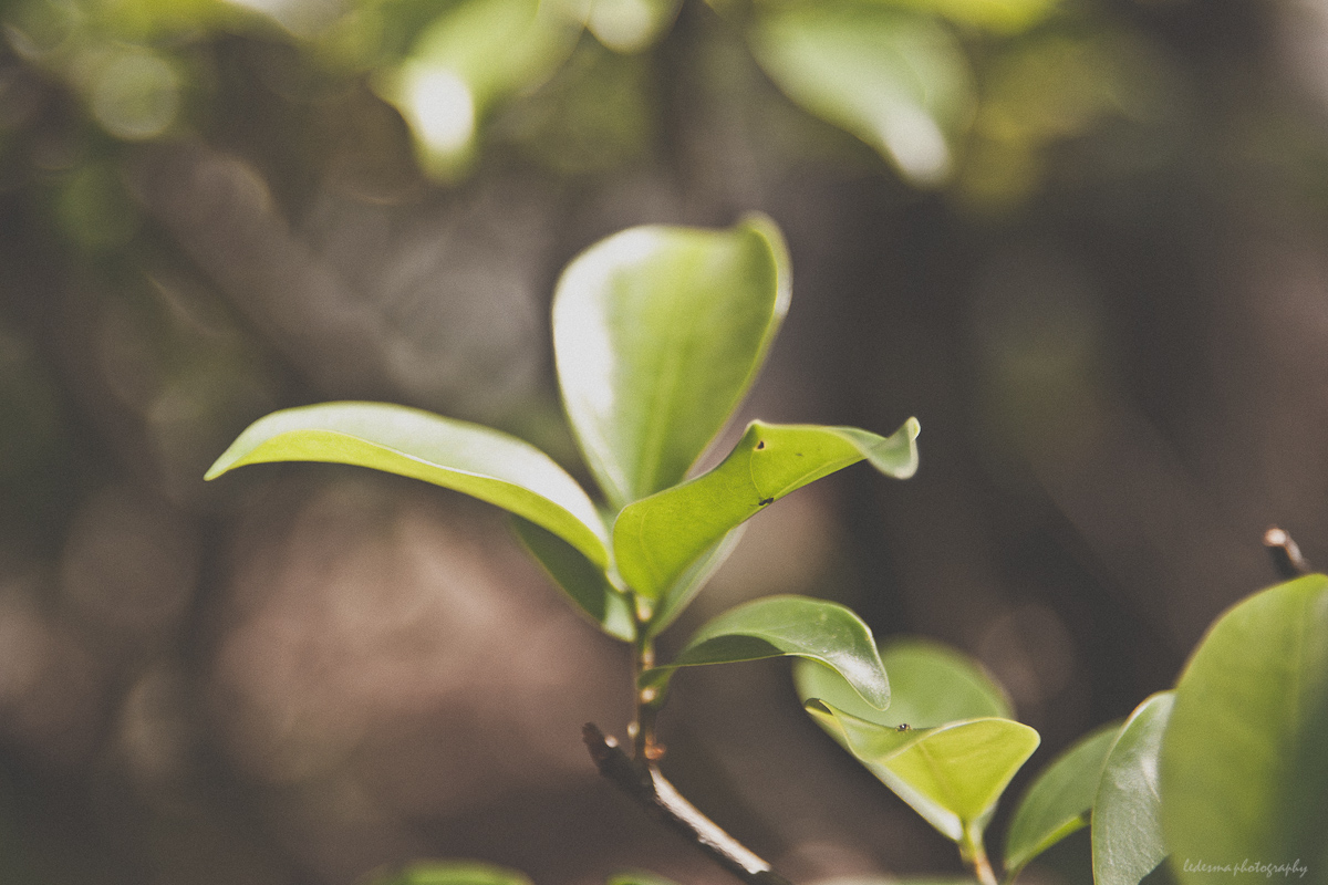 Canon 40D, Sigma 24-60mm, 2.8 EX DG, Street Photography, Canon, 40D, Photography Project, PAD,Project