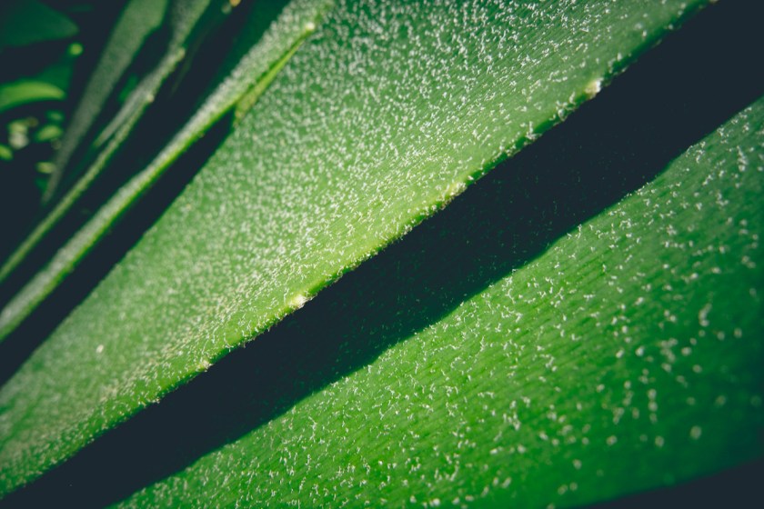 ricoh, grd3, grd4, grd4, grd2, grd5, abstract, photography