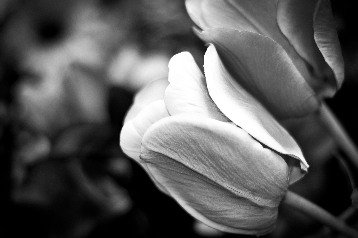 nikon, d90, street photography, nikon 50mm 1.8G, Nikon review, Nikon , photos, images, documentary, street, candid, portrait, snap, photoaphy, Nikon , Nikon, color, black and white, pentax,  images, pictures, daido, moriyama, jorge, ledesma, , review,Nikon  revisão, Nikon , imagens, documentários, rua, revisão,Nikon  recenze, Nikon , obrázky, dokumentární, ulice, upřímný, portrét, fotoafie,Nikon  revisione, Nikon , immagini, documentari, via, schietto, ritratto, fotoafia,Nikon  recension, Nikon, bilder, dokumentär, gata, uppriktig, porträtt, fotoafi,Nikon  examen, Nikon , images, documentaire, rue, candide, portrait, photoaphie,Nikon gennemgang, Nikon , billeder, dokumentar, gade, åbenhjertig, portræt, fotoafering,Nikon  recenzja, Nikon , zdjęć, filmów dokumentalnych, ulica, szczery, portret, fotoafia,Nikon  Bewertung Nikon , Bilder, Dokumentarfilm, Straße, offen, Porträt, Fotoafie,理光審查，理光，圖片，紀錄片，街道，坦誠，肖像，攝影，リコー見直し、リコー、画像、ドキュメンタリー、ストリート、スナップ写真、ポートレート、写真、Nikon  revisão, Nikon , imagens, documentários, rua, cândido, retrato, fotoafia,icoh  pagsusuri, Nikon , mga larawan, dokumentaryo, kalye, tapat, portrait, photoaphy,