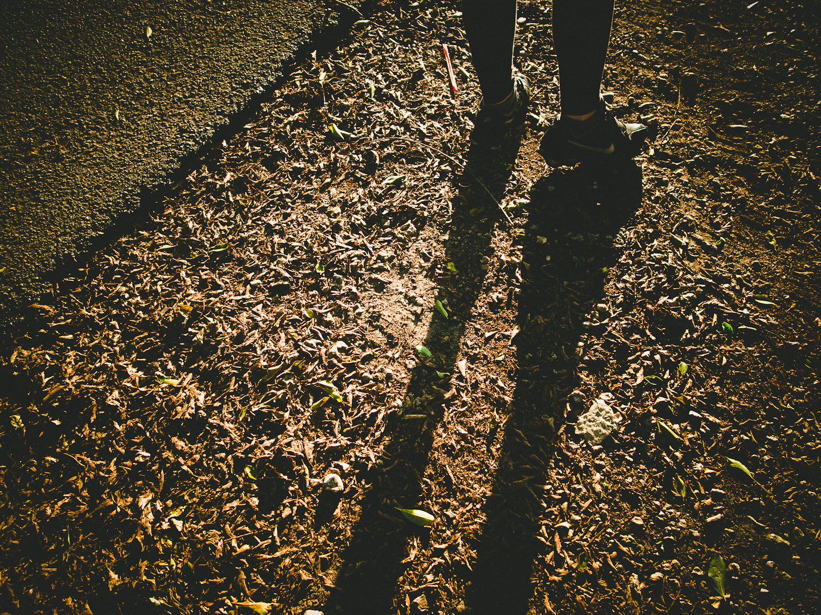 ricoh gr, first impressions, ricoh grd, grd2,grd3,grd4, color street photography, best camera, best compact, best small camera