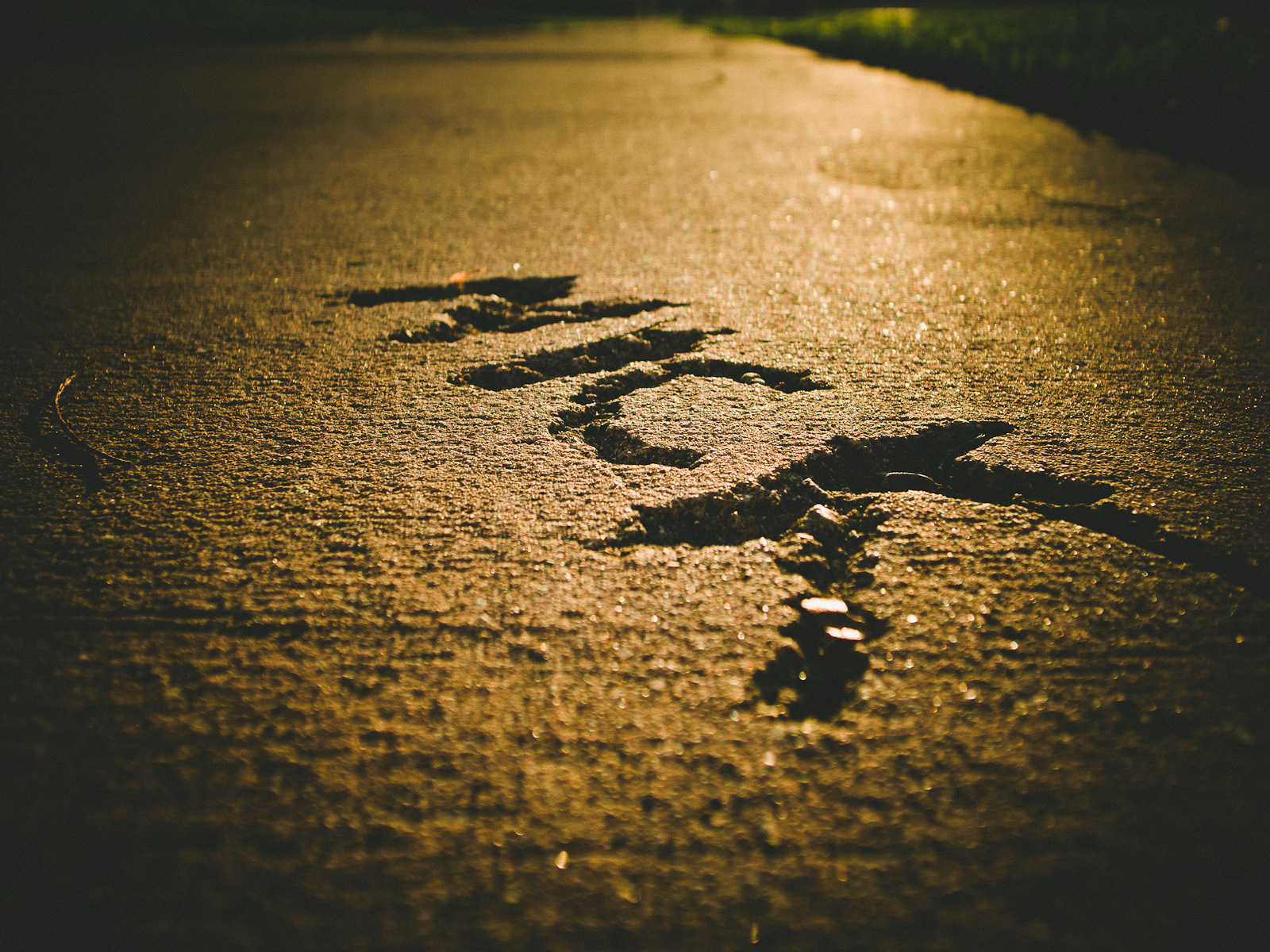 ricoh grd, grd3, grd4, grd5, abstract photography, black and white photography