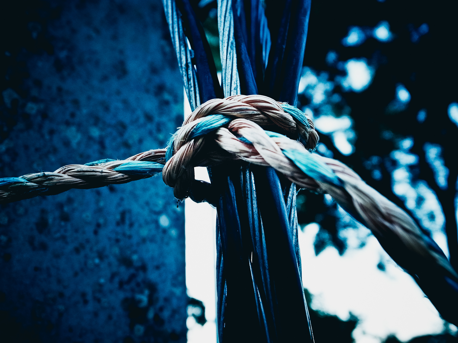 ricoh gr, first impressions, ricoh grd, grd2,grd3,grd4, color street photography, best camera, best compact, best small camera