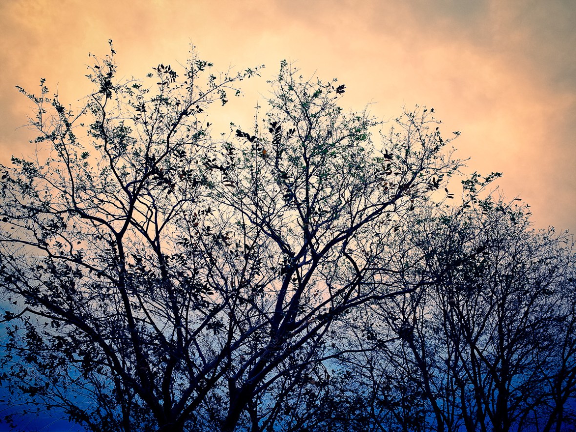 ricoh gr review, ricoh gr, photos, images, documentary, street, candid, portrait, photography, ricoh gr, ricoh, color, grd2, grd3, grd4, grd5, black and white, pentax, pentax-ricoh, images, pictures, daido, moriyama, jorge, ledesma, gr, review,ricoh gr revisão, ricoh gr, imagens, documentários, rua, revisão,RICOH GR recenze, RICOH GR, obrázky, dokumentární, ulice, upřímný, portrét, fotografie,ricoh gr revisione, ricoh gr, immagini, documentari, via, schietto, ritratto, fotografia,Ricoh GR recension, Ricoh GR, bilder, dokumentär, gata, uppriktig, porträtt, fotografi,Ricoh GR examen, Ricoh GR, images, documentaire, rue, candide, portrait, photographie,Ricoh gr gennemgang, Ricoh GR, billeder, dokumentar, gade, åbenhjertig, portræt, fotografering,Ricoh GR recenzja, ricoh gr, zdjęć, filmów dokumentalnych, ulica, szczery, portret, fotografia,Ricoh GR Bewertung Ricoh GR, Bilder, Dokumentarfilm, Straße, offen, Porträt, Fotografie,理光GR審查，理光GR，圖片，紀錄片，街道，坦誠，肖像，攝影，リコーGR見直し、リコーGR、画像、ドキュメンタリー、ストリート、スナップ写真、ポートレート、写真、ricoh gr revisão, ricoh gr, imagens, documentários, rua, cândido, retrato, fotografia,icoh gr pagsusuri, ricoh gr, mga larawan, dokumentaryo, kalye, tapat, portrait, photography,