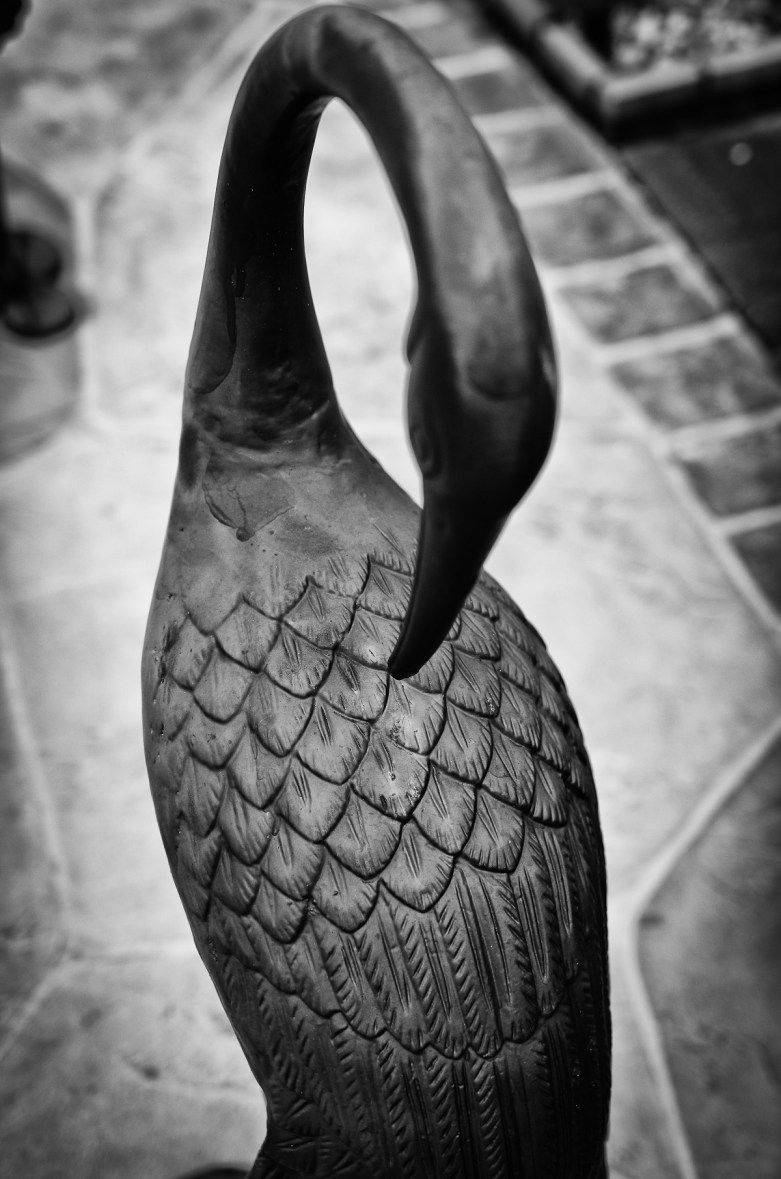 pentax k5 iis review, ricoh gr review, pentax k5 iis, photos, images, documentary, street, candid, portrait, snap, photography, pentax k5 iis, ricoh, project, color, silver efex, lightroom, grd2, grd3, grd4, grd5, black and white, pentax, pentax-ricoh, images, pictures, daido, moriyama, jorge, ledesma, gr, review,pentax k5 iis revisão, pentax k5 iis, imagens, documentários, rua, revisão,pentax k5 iis recenze, pentax k5 iis, obrázky, dokumentární, ulice, upřímný, portrét, fotografie,pentax k5 iis revisione, pentax k5 iis, immagini, documentari, via, schietto, ritratto, fotografia,pentax k5 iis recension, pentax k5 iis, bilder, dokumentär, gata, uppriktig, porträtt, fotografi,pentax k5 iis examen, pentax k5 iis, images, documentaire, rue, candide, portrait, photographie,pentax k5 iis gennemgang, pentax k5 iis, billeder, dokumentar, gade, åbenhjertig, portræt, fotografering,pentax k5 iis recenzja, pentax k5 iis, zdjęć, filmów dokumentalnych, ulica, szczery, portret, fotografia,pentax k5 iis Bewertung pentax k5 iis, Bilder, Dokumentarfilm, Straße, offen, Porträt, Fotografie,理光GR審查，理光GR，圖片，紀錄片，街道，坦誠，肖像，攝影，リコーGR見直し、リコーGR、画像、ドキュメンタリー、ストリート、スナップ写真、ポートレート、写真、pentax k5 iis revisão, pentax k5 iis, imagens, documentários, rua, cândido, retrato, fotografia,icoh gr pagsusuri, pentax k5 iis, mga larawan, dokumentaryo, kalye, tapat, portrait, photography,