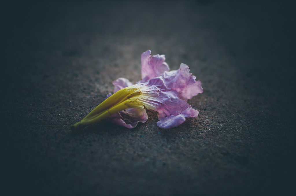 pentax k5 iis review, ricoh gr review, pentax k5 iis, photos, images, documentary, street, candid, portrait, snap, photography, pentax k5 iis, ricoh, project, color, silver efex, lightroom, grd2, grd3, grd4, grd5, black and white, pentax, pentax-ricoh, images, pictures, daido, moriyama, jorge, ledesma, gr, review,pentax k5 iis revisão, pentax k5 iis, imagens, documentários, rua, revisão,pentax k5 iis recenze, pentax k5 iis, obrázky, dokumentární, ulice, upřímný, portrét, fotografie,pentax k5 iis revisione, pentax k5 iis, immagini, documentari, via, schietto, ritratto, fotografia,pentax k5 iis recension, pentax k5 iis, bilder, dokumentär, gata, uppriktig, porträtt, fotografi,pentax k5 iis examen, pentax k5 iis, images, documentaire, rue, candide, portrait, photographie,pentax k5 iis gennemgang, pentax k5 iis, billeder, dokumentar, gade, åbenhjertig, portræt, fotografering,pentax k5 iis recenzja, pentax k5 iis, zdjęć, filmów dokumentalnych, ulica, szczery, portret, fotografia,pentax k5 iis Bewertung pentax k5 iis, Bilder, Dokumentarfilm, Straße, offen, Porträt, Fotografie,理光GR審查，理光GR，圖片，紀錄片，街道，坦誠，肖像，攝影，リコーGR見直し、リコーGR、画像、ドキュメンタリー、ストリート、スナップ写真、ポートレート、写真、pentax k5 iis revisão, pentax k5 iis, imagens, documentários, rua, cândido, retrato, fotografia,icoh gr pagsusuri, pentax k5 iis, mga larawan, dokumentaryo, kalye, tapat, portrait, photography,