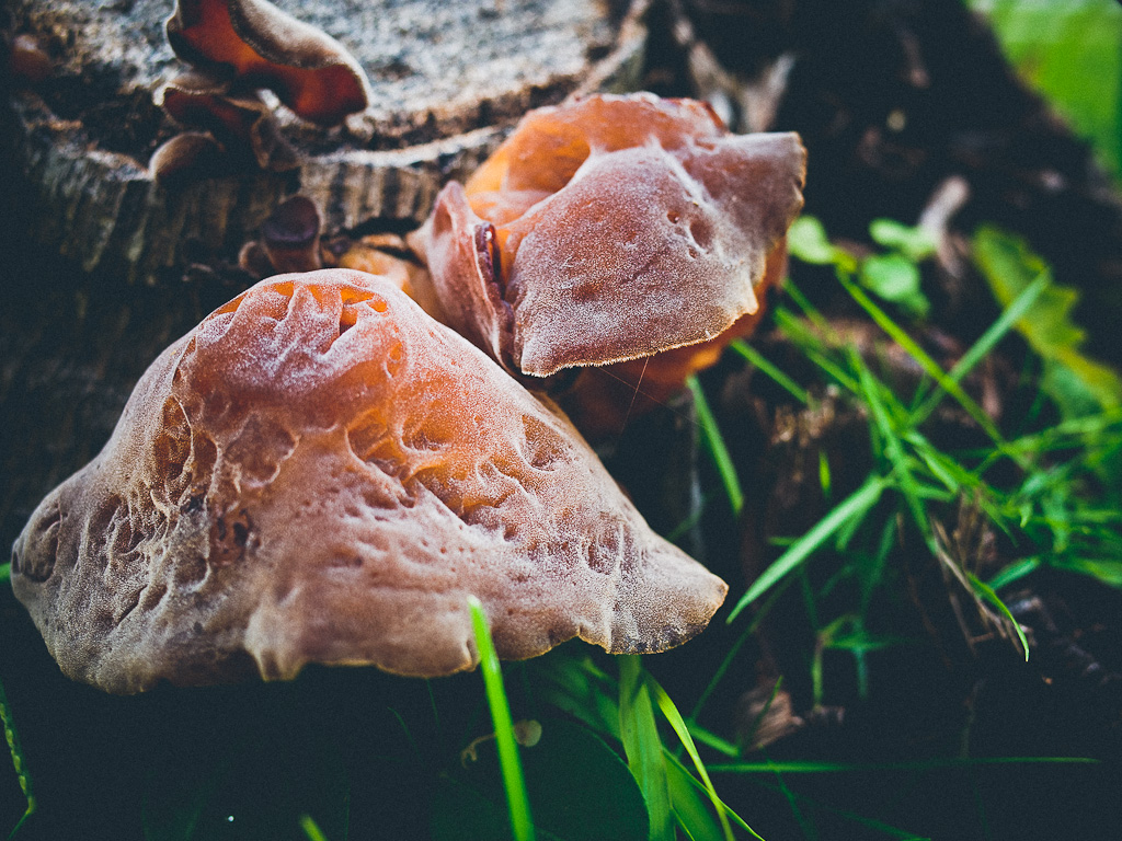 really nice images presets, ricoh gr review, ricoh gr, photos, images, documentary, street, candid, portrait, snap, photography, ricoh gr, ricoh, project, 28mm, 35mm, f2.8, streetcred, 2013color, grd2, grd3, grd4, grd5, black and white, pentax, vsco film street photography, ricoh gr blog, ricoh gr snap focus, ricoh gr 2013 havana, true grain street photography, pentax-ricoh, images, pictures, daido, moriyama, jorge, ledesma, gr, review,ricoh gr revisão, ricoh gr, imagens, documentários, rua, revisão,RICOH GR recenze, RICOH GR, obrázky, dokumentární, ulice, upřímný, portrét, fotografie,ricoh gr revisione, ricoh gr, immagini, documentari, via, schietto, ritratto, fotografia,Ricoh GR recension, Ricoh GR, bilder, dokumentär, gata, uppriktig, porträtt, fotografi,Ricoh GR examen, Ricoh GR, images, documentaire, rue, candide, portrait, photographie,Ricoh gr gennemgang, Ricoh GR, billeder, dokumentar, gade, åbenhjertig, portræt, fotografering,Ricoh GR recenzja, ricoh gr, zdjęć, filmów dokumentalnych, ulica, szczery, portret, fotografia,Ricoh GR Bewertung Ricoh GR, Bilder, Dokumentarfilm, Straße, offen, Porträt, Fotografie,理光GR審查，理光GR，圖片，紀錄片，街道，坦誠，肖像，攝影，リコーGR見直し、リコーGR、画像、ドキュメンタリー、ストリート、スナップ写真、ポートレート、写真、ricoh gr revisão, ricoh gr, imagens, documentários, rua, cândido, retrato, fotografia,icoh gr pagsusuri, ricoh gr, mga larawan, dokumentaryo, kalye, tapat, portrait, photography,