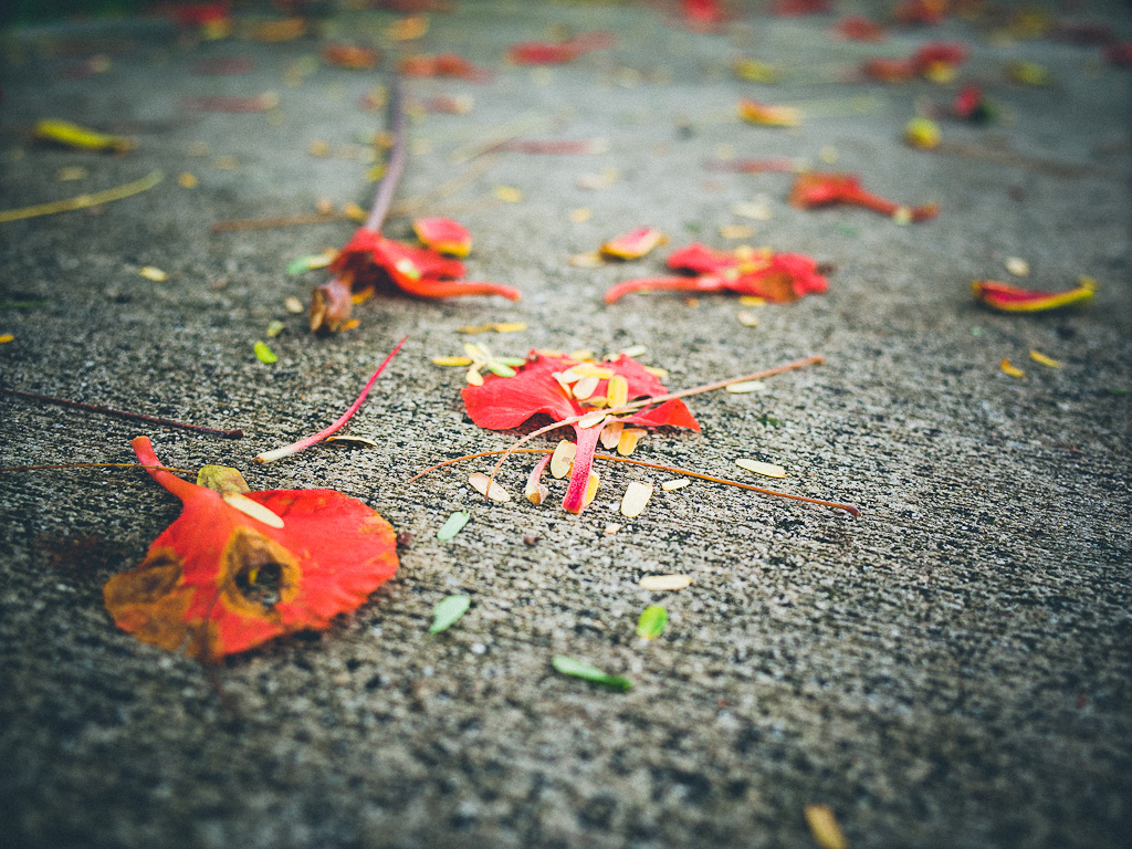 really nice images presets, ricoh gr review, ricoh gr, photos, images, documentary, street, candid, portrait, snap, photography, ricoh gr, ricoh, project, 28mm, 35mm, f2.8, streetcred, 2013color, grd2, grd3, grd4, grd5, black and white, pentax, vsco film street photography, ricoh gr blog, ricoh gr snap focus, ricoh gr 2013 havana, true grain street photography, pentax-ricoh, images, pictures, daido, moriyama, jorge, ledesma, gr, review,ricoh gr revisão, ricoh gr, imagens, documentários, rua, revisão,RICOH GR recenze, RICOH GR, obrázky, dokumentární, ulice, upřímný, portrét, fotografie,ricoh gr revisione, ricoh gr, immagini, documentari, via, schietto, ritratto, fotografia,Ricoh GR recension, Ricoh GR, bilder, dokumentär, gata, uppriktig, porträtt, fotografi,Ricoh GR examen, Ricoh GR, images, documentaire, rue, candide, portrait, photographie,Ricoh gr gennemgang, Ricoh GR, billeder, dokumentar, gade, åbenhjertig, portræt, fotografering,Ricoh GR recenzja, ricoh gr, zdjęć, filmów dokumentalnych, ulica, szczery, portret, fotografia,Ricoh GR Bewertung Ricoh GR, Bilder, Dokumentarfilm, Straße, offen, Porträt, Fotografie,理光GR審查，理光GR，圖片，紀錄片，街道，坦誠，肖像，攝影，リコーGR見直し、リコーGR、画像、ドキュメンタリー、ストリート、スナップ写真、ポートレート、写真、ricoh gr revisão, ricoh gr, imagens, documentários, rua, cândido, retrato, fotografia,icoh gr pagsusuri, ricoh gr, mga larawan, dokumentaryo, kalye, tapat, portrait, photography,