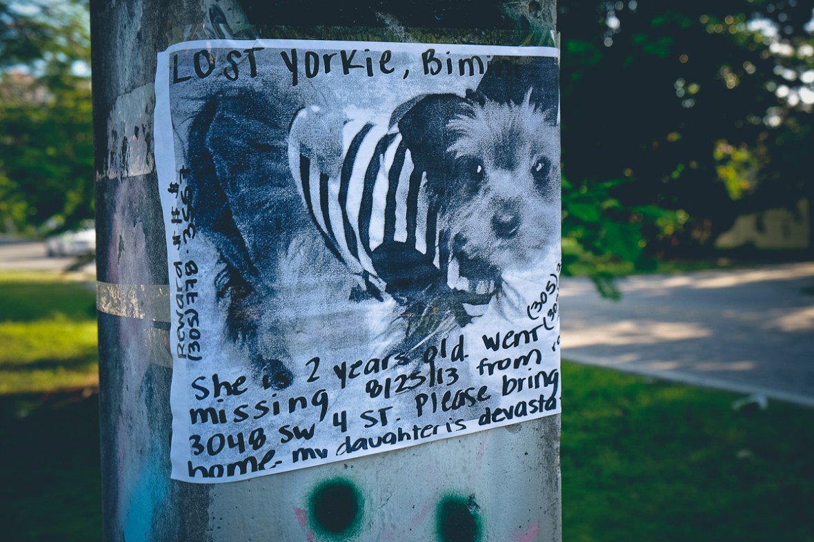 Fuji xpro1, xe1, x100s, x100,フジ, ストリート撮影, 抽象的な写真撮影, 風景写真, イベント写真撮影, 検討, 第一印象, 写真撮影を散歩, XF18〜5ミリメートル, XF 18-55mm, otografia astratta,fotografia di strada, fotografia di paesaggio,fotografia di eventi, prime impressioni, passeggiare fotografia,rivedere, fotografía abstracta, fotografía de la calle, fotografía de paisaje,fotografía de eventos, primeras impresiones,abstracte fotografie,straatfotografie, landschaps fotografie,event fotografie,eerste indrukken,wandelen fotografie, beoordelen, photographie abstraite, la photographie de rue, la photographie de paysage, la photographie d'événement, premières impressions, flâner photographie, revoir, 抽象摄影， 街头摄影,风景摄影，活动摄影，第一印象，漫步摄影，审查 抽象攝影，街頭攝影，風景攝影，活動攝影，第一印象，漫步攝影， 審查, kaganapan photography, unang impression, maglakad-lakad photography, suriin,abstrakte Fotografie, street photography, Landschaftsfotografie,Event-Fotografie,ersten Eindrücke, Flanieren Fotografie,Bewertung,Sāra phōṭōgrāphī, Saṛaka phōṭōgrāphī, Paridr̥śya phōṭōgrāphī, Ghaṭanā phōṭōgrāphī, Pahalī chāpōṁ, Phōṭōgrāphī ṭahalanē,Kī samīkṣā abstrakt fotografi, street photography, landskap fotografi, händelse fotografering,första intryck, promenera fotografi,granska ,Curukkam pukaippaṭam eṭuttal,Teru pukaippaṭam eṭuttal,Iyaṟkai pukaippaṭam,Nikaḻvu pukaippaṭam eṭuttal,Mutal aḻuttaṅkaḷiṉ, , Pukaippaṭam eṭuttal ulāvu, Paricīlaṉai, otografia abstrata, fotografia de rua,fotografia de paisagem,fotografia de eventos, primeiras impressões,passear fotografia,rever,nhiếp ảnh trừu tượng,nhiếp ảnh đường phố,chụp ảnh phong cảnh,chụp ảnh sự kiện,ấn tượng đầu tiên,đi dạo chụp ảnh,xem xét,abstrakti valokuvaus,katuvalokuvauksesta,maisemakuvaukseen,tapahtuma valokuvaus,ensivaikutelma,kävellä valokuvaus,lue kuvat,görüntüler,изображения,bilder, zdjęcia,vaizdai,billeder, imagenes, images, afbeeldingen,mga larawan,Bilder,dluab,képek,immagini,画像,이미지,imagens,imagini,ภาพ, зображення,hình ảnh, abstract photography, street photography, landscape photography, event photography, first impressions, stroll photography, review, XF 18-55mm, Fujinon