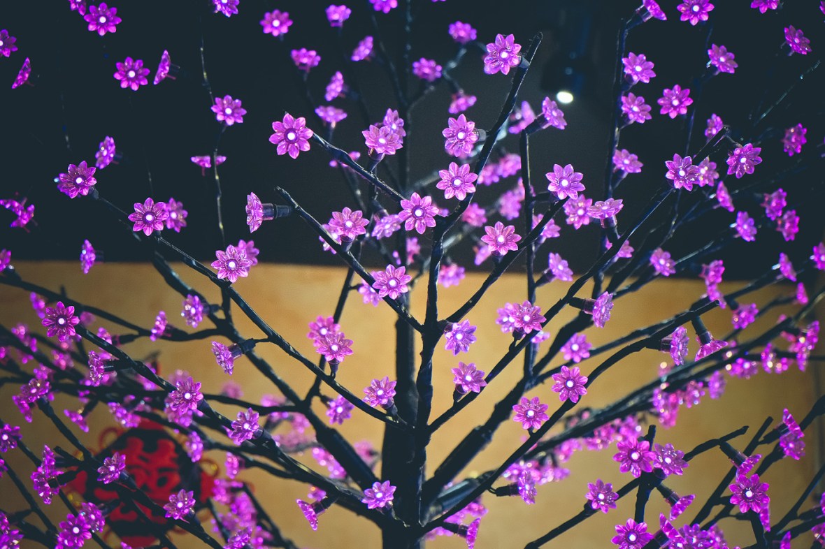 Fuji xpro1, xe1, x100s, x100,フジ, ストリート撮影, 抽象的な写真撮影, 風景写真, イベント写真撮影, 検討, 第一印象, 写真撮影を散歩, XF18〜5ミリメートル, XF 18-55mm, otografia astratta,fotografia di strada, fotografia di paesaggio,fotografia di eventi, prime impressioni, passeggiare fotografia,rivedere, fotografía abstracta, fotografía de la calle, fotografía de paisaje,fotografía de eventos, primeras impresiones,abstracte fotografie,straatfotografie, landschaps fotografie,event fotografie,eerste indrukken,wandelen fotografie, beoordelen, photographie abstraite, la photographie de rue, la photographie de paysage, la photographie d'événement, premières impressions, flâner photographie, revoir, 抽象摄影， 街头摄影,风景摄影，活动摄影，第一印象，漫步摄影，审查 抽象攝影，街頭攝影，風景攝影，活動攝影，第一印象，漫步攝影， 審查, kaganapan photography, unang impression, maglakad-lakad photography, suriin,abstrakte Fotografie, street photography, Landschaftsfotografie,Event-Fotografie,ersten Eindrücke, Flanieren Fotografie,Bewertung,Sāra phōṭōgrāphī, Saṛaka phōṭōgrāphī, Paridr̥śya phōṭōgrāphī, Ghaṭanā phōṭōgrāphī, Pahalī chāpōṁ, Phōṭōgrāphī ṭahalanē,Kī samīkṣā abstrakt fotografi, street photography, landskap fotografi, händelse fotografering,första intryck, promenera fotografi,granska ,Curukkam pukaippaṭam eṭuttal,Teru pukaippaṭam eṭuttal,Iyaṟkai pukaippaṭam,Nikaḻvu pukaippaṭam eṭuttal,Mutal aḻuttaṅkaḷiṉ, , Pukaippaṭam eṭuttal ulāvu, Paricīlaṉai, otografia abstrata, fotografia de rua,fotografia de paisagem,fotografia de eventos, primeiras impressões,passear fotografia,rever,nhiếp ảnh trừu tượng,nhiếp ảnh đường phố,chụp ảnh phong cảnh,chụp ảnh sự kiện,ấn tượng đầu tiên,đi dạo chụp ảnh,xem xét,abstrakti valokuvaus,katuvalokuvauksesta,maisemakuvaukseen,tapahtuma valokuvaus,ensivaikutelma,kävellä valokuvaus,lue kuvat,görüntüler,изображения,bilder, zdjęcia,vaizdai,billeder, imagenes, images, afbeeldingen,mga larawan,Bilder,dluab,képek,immagini,画像,이미지,imagens,imagini,ภาพ, зображення,hình ảnh, abstract photography, street photography, landscape photography, event photography, first impressions, stroll photography, review