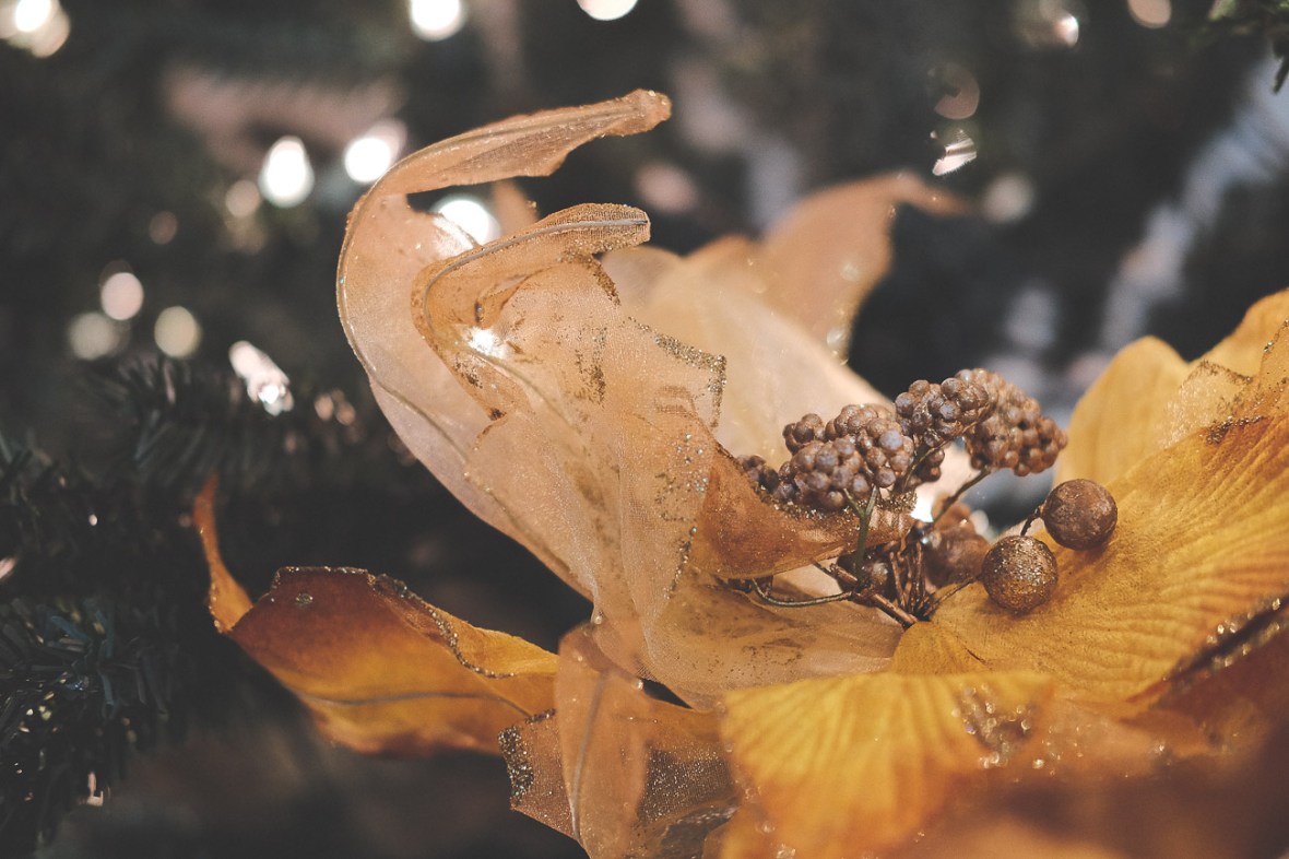 fuji 35mm f2 review, first impressions, fujifilm 35mm f2 r wr, fuji xt1, new fuji lens, f2 35mm, fujifilm miami, united states, fuji x series photography